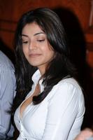 Kajal Hot Photos